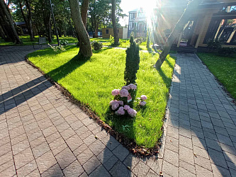 Установка системы автополива и озеленение 5000 М2
