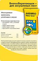 Газонная травосмесь Баренбруг Влагосберегающая/Засухоустойчивая 15 кг (Голландия)